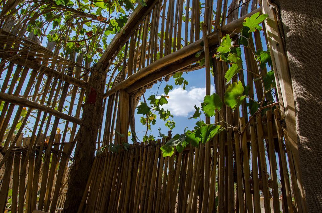 Kfar Hanokdim - Glamping & Camping Arad Exterior foto